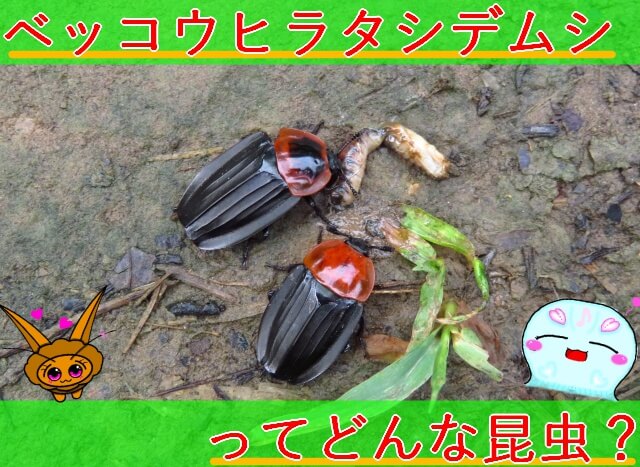 Thumbnail of post image 154